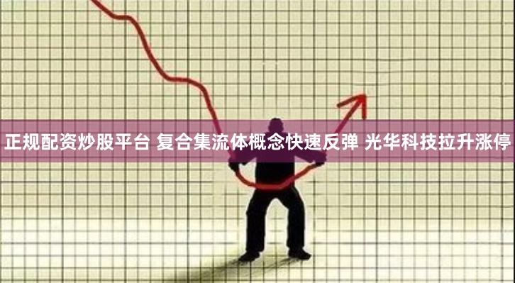 正规配资炒股平台 复合集流体概念快速反弹 光华科技拉升涨停